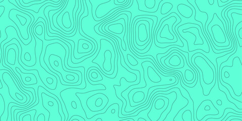 Mint clean modern land vector earth map.lines vector topographic contours desktop wallpaper.topography vector high quality.map of.geography scheme round strokes.
