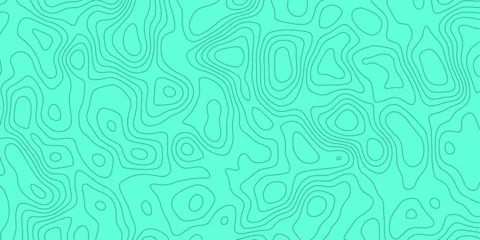 Rolgordijnen Mint clean modern land vector earth map.lines vector topographic contours desktop wallpaper.topography vector high quality.map of.geography scheme round strokes.  © mr Vector
