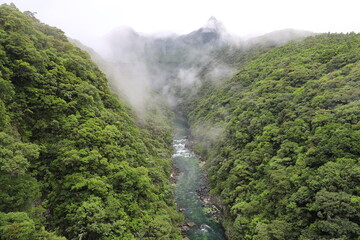 屋久島、松峯大橋、安房川は島の東側に位置する安房港に向かって流れる