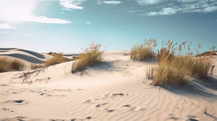 Foto op Plexiglas Grassy sand dunes on the Baltic Sea © Zie