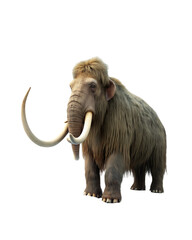 Obraz premium Mammoth isolated on transparent background