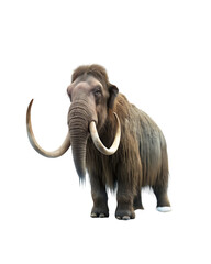 Obraz premium Mammoth isolated on transparent background