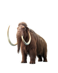 Fototapeta premium Mammoth isolated on transparent background