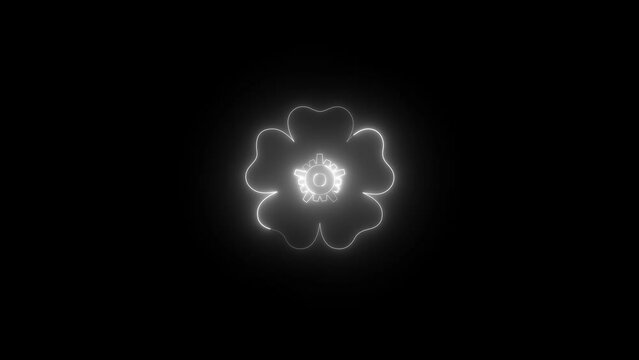 Neon glowing white color rose flower icon animation black background