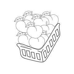 line drawing of peaches in a basket