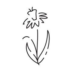 Spring flowers line icon. Forest fern eucalyptus art foliage natural leaves herbs. Decorative beauty elegant illustration for design hand drawn flower