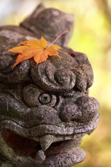 モミジを頭にのせた狛犬