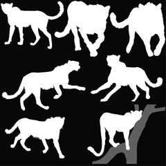 seven cheetah silhouettes isolated on black