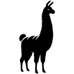 Llama alpaca vector , baby Llama, Llama Family, Llama Svg, Llama Clipart, Llama Cricut, Llama outlines Svg, Llama Head Svg, Llama Silhouette, Llama Cut File, Llama Printable, Llama Face Svg Png, 