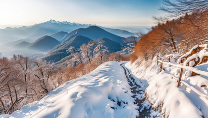 Fototapeta na wymiar A path in the beautiful winter nature
