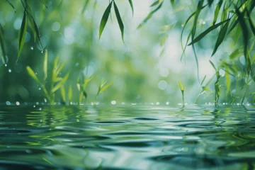 Zelfklevend Fotobehang blurred image of natural background from water and plants © Zoraiz