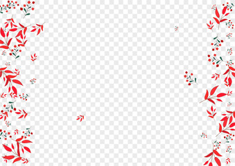 Red Herb Background Transparent Vector. Leaves School Frame. Green Berries. Burgundy Foliage Realistic. Label Illustration.