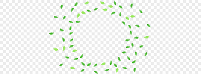 Green Sheet Background Transparent Vector. Foliage Space Frame. Wild Illustration. Greenish Banner Card. Greenery Eucalyptus. - obrazy, fototapety, plakaty