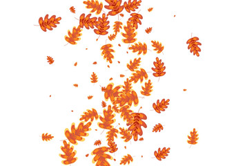 Yellow Leaves Background White Vector. Plant Banner Texture. Green Leaf. Floral Illustration. Red Oak Material.