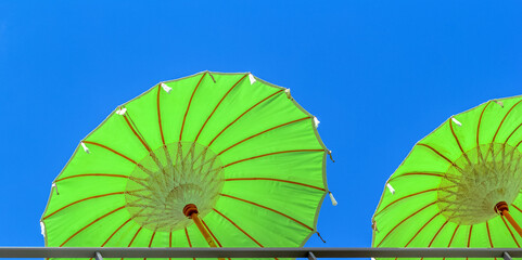Parasols verts sur terrasse - 766203075
