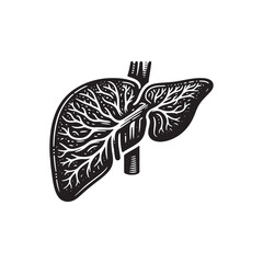 Human Spleen Silhouette Vector: Illustrating the Anatomy and Functionality of the Vital Organ in Simplified Form- Spleen Vector stock.