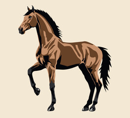 horse flat vector illustration eps