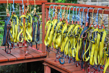 Safety belts with carbines. for climbers