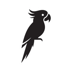 Parrot Silhouette Vector: A Simplified Depiction of Avian Beauty and Grace- Parrot vector stock.