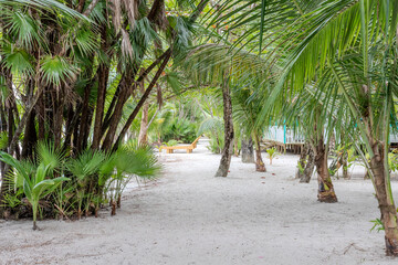 Beautiful palm trees and white sand beach at playa blanca in livingston guatemala