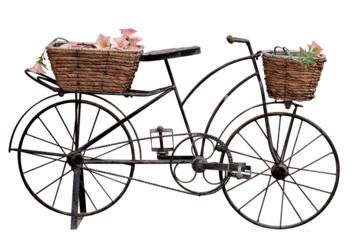Ingelijste posters bicycle and flowers © farman