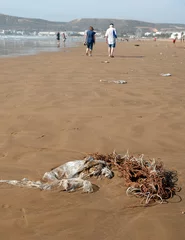 Fototapeten Agadir Morocco. Plastic pollution along the tide line of the beach. © Richard