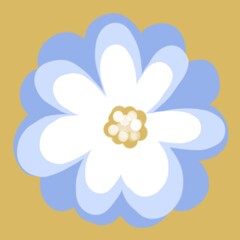 white flower with blue sky