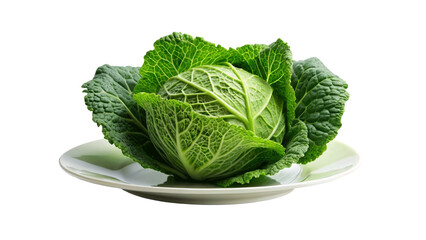 A fresh Cabbage, on a white round plate isolated on Transparent background.