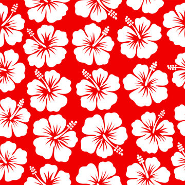 white hibiscus flower seamless pattern