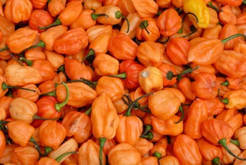 Tragetasche Amsterdam Zuid Oost Orange Madame Jeanette peppers for sale on the market. Madame Jeanettes are known for their heat and often used in the cuisine of Suriname. © Richard