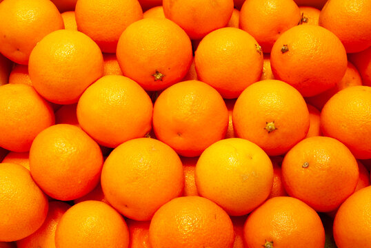 General stock image - Oranges.