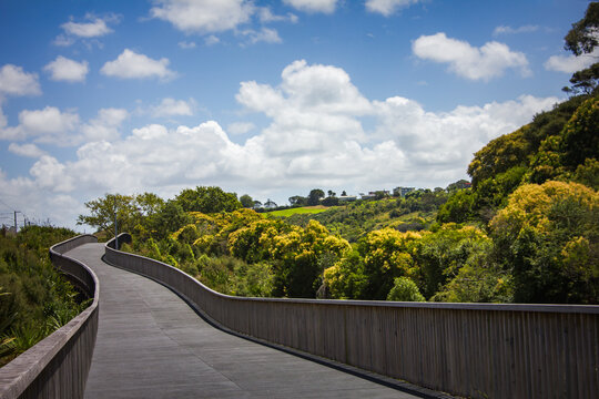 Raised shared path curving through lush green park towards Orakei Basin. Beautiful summer day in Auckland, New Zealand