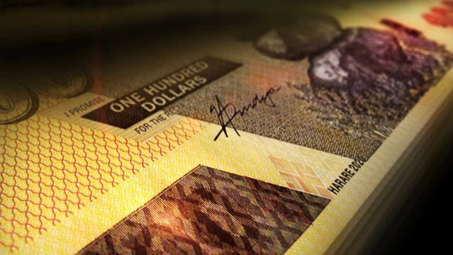 Zimbabwe money Zimbabwean dollars counting. ZWL 100 banknotes. Fast cash note count macro loop. Business, finance and economy. Loopable and seamless concept.