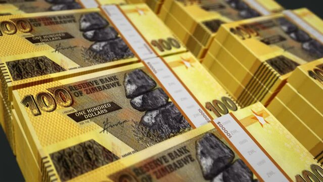 Zimbabwe money Zimbabwean dollars pack loop 3d animation. Loopable seamless concept of finance, cash, economy, business and bank. Camera moving over ZWL 100 banknote bundle stacks.