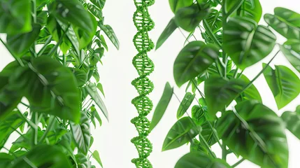 Foto op Plexiglas green dna chains grow leaves green life, c4d, 3d render, white background, concept, abstract, a lot of empty space on the sides, separated from the background © Sattawat
