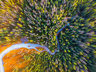 A drone view of the river in the woods. An aerial view of the forest. Winding river among the trees. Turquoise mountain water. Landscape with soft light before sunset. - 766233030