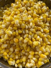 corn background