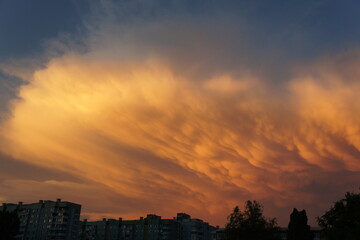 SONY DSC