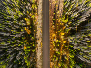 A drone view of a road in the middle of a forest. A straight road among the trees. Woods from a drone. A straight highway. Wallpaper and background. - 766236466
