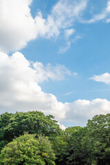 Fototapeta na wymiar 雲と青空と新緑の木々