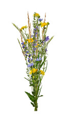 Summer bouquet of wildflowers and herbs isolated on white background. Yellow and blue meadow flowers. Element for creating designs, cards, patterns, floral arrangements, invitations. © Yuliia
