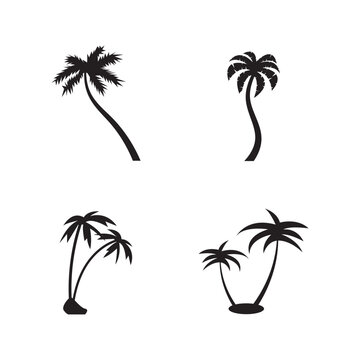 Palm tree summer logo template