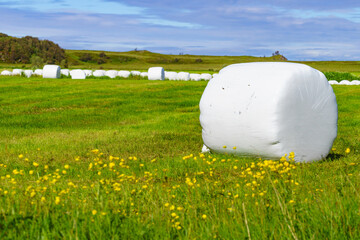 Bale of hay wrapped in plastic foil, Norway