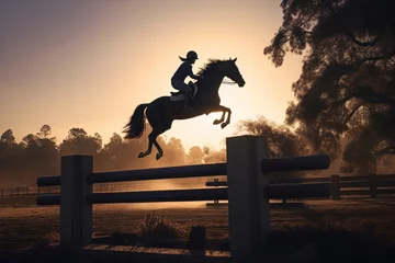 Foto auf Acrylglas Rider in helmet jumps horse over hurdle in riding equestrian sport © lolya1988