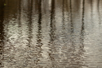 Water in spring. Waves on surface. Spring puddle. Details of nature.