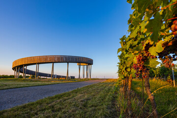 Trail above the vineyards lookout point, Kobyli vrch, Kobyli, Southern Moravia, Czech Republic - 766255689