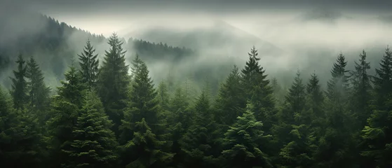 Papier Peint photo Gris Dense fantasy forest landscape.