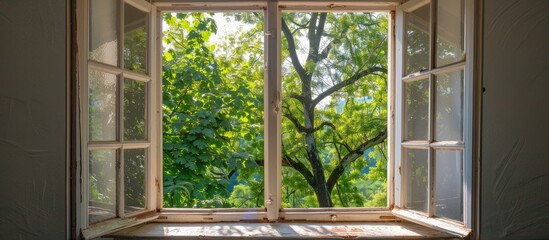 Through the open window of the wooden house, a tree can be seen. The hardwood flooring contrasts with the green grass outside
