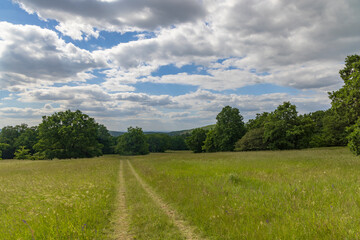 National nature reservation Vojsicke louky near Lucina,  White Carpathians, Czech Republic