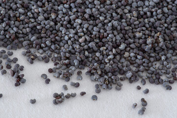 Texture of blue poppy seeds